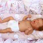 Aurelia ist geschlüpft ❤