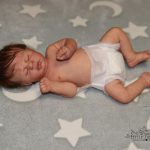 Meriam (2.Version) ist geschlüpft ❤